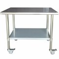 Fine-Line 24 x 48 in. Stainless Steel Work Table with Casters FI620898